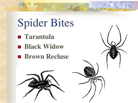 Ppt Animal And Insect Bites And Stings Powerpoint Presentation Free