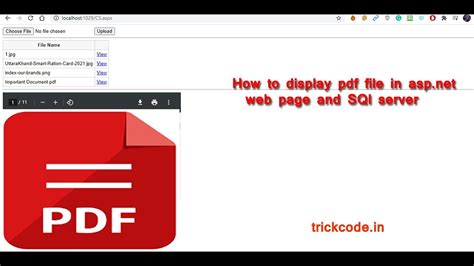 ASP NET Core PDF Viewer How To Display Pdf File In Asp Net Web Page Free Download YouTube