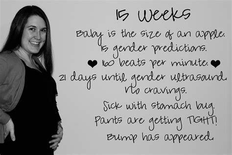 His Plan Not Ours Bump Update 15 Weeks