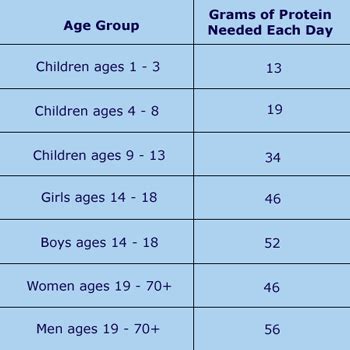 Adults Daily Protein Intake Much More Than Recommended NCHStats