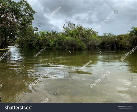 Photo Stream Flooding Amazon Rainforest During Stock Photo 1889789695