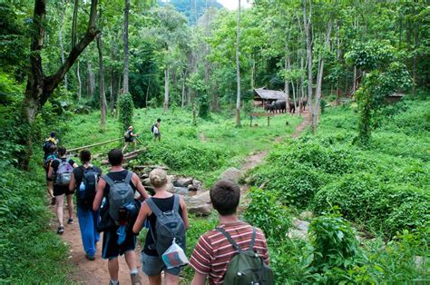 Tour Trekking Sui Sentieri Nella Giungla Giorni Viaggi Vietnam