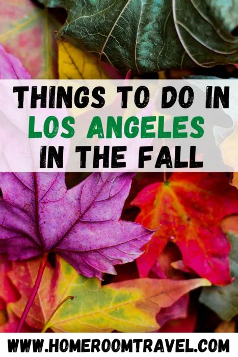 Fall In Los Angeles Has So Many Fun And Cheap Things To Do It Is A