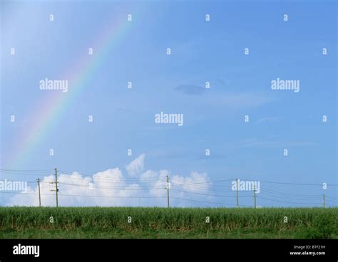 Rainbow Over Field Stock Photo Alamy