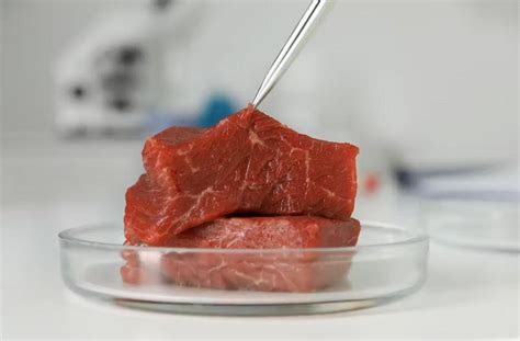 What Is Lab Grown Meat And How Is It Made Animal Agriculture And