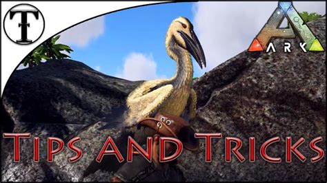 Fast Ichthyornis Taming Guide Ark Survival Evolved Tips And Tricks