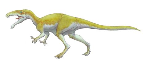 Noasaurus Dinopedia Fandom Powered By Wikia