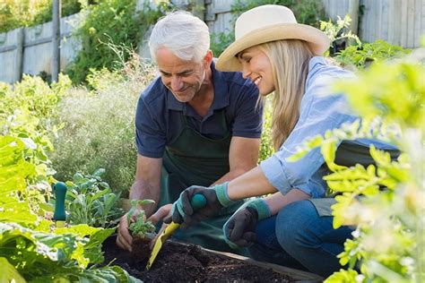 Physical And Mental Benefits Of Gardening For Seniors Discovery Village