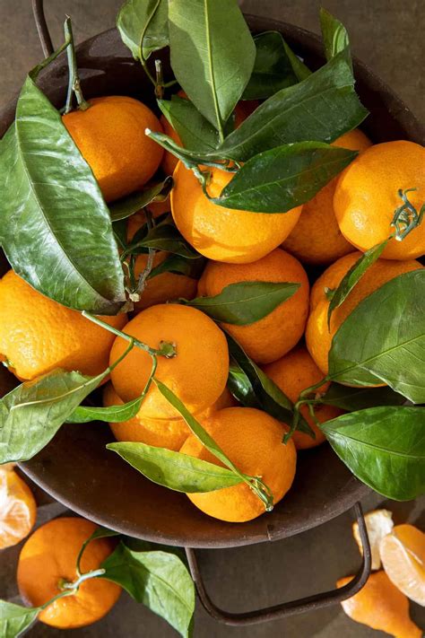 Mandarin Oranges The Harvest Kitchen