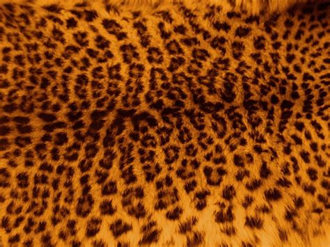 Brown Black Leopard Pattern Illustration Leopard Skin Fur Pattern