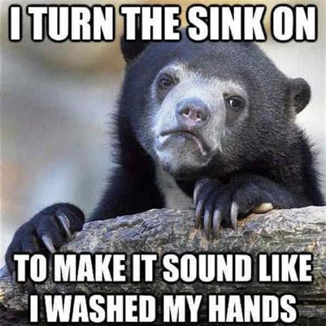 35 Of The Best Confession Bear Meme Pictures That Will