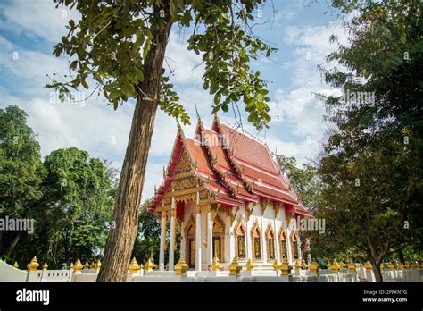 Thailand Prachuap Hua Hin Wat Huay Mongkol Stock Photo Alamy