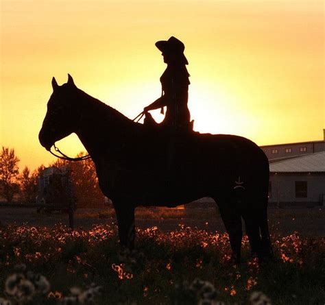 Cowgirl Sunset Sunset Cowgirl Photo
