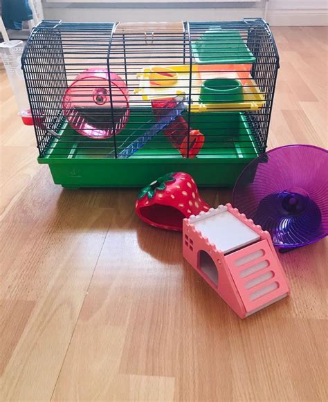 Hamster Cage And Accessories In Rathfriland County Down Gumtree