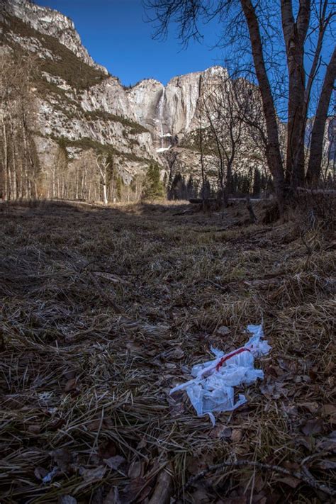 A Free For All National Parks Overrun By Garbage Bad Behavior