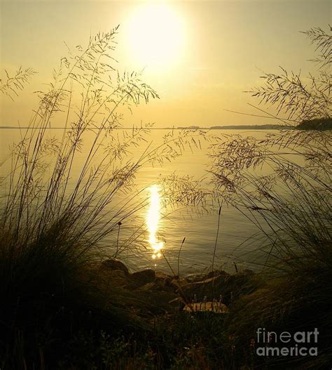 Sunrise Over Lake Murray Digital Art By Matthew Seufer Fine Art America