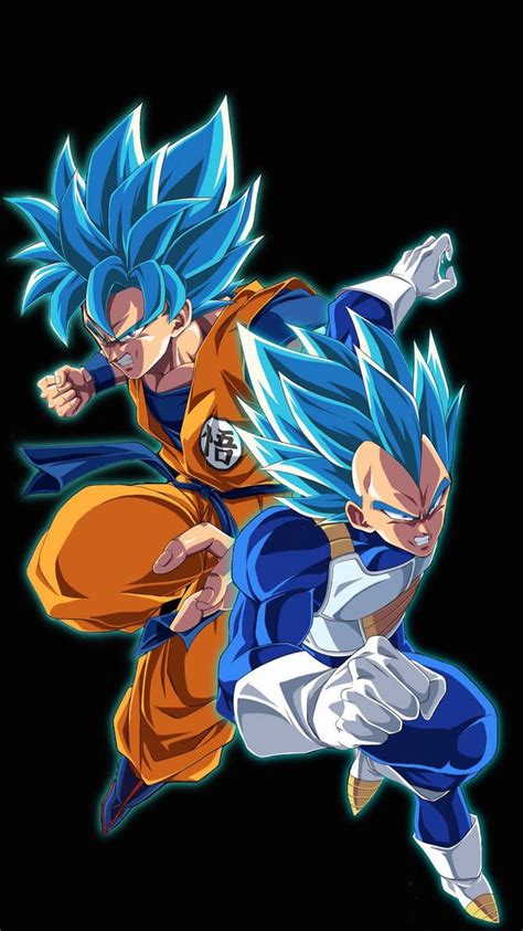 Super Saiyan Blue Goku And Vegeta By Kinggoku23 On Deviantart Dragon