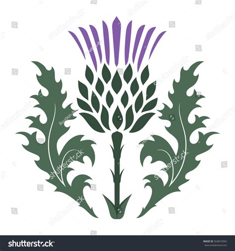 109058 Thistles Flower Images Stock Photos And Vectors Shutterstock