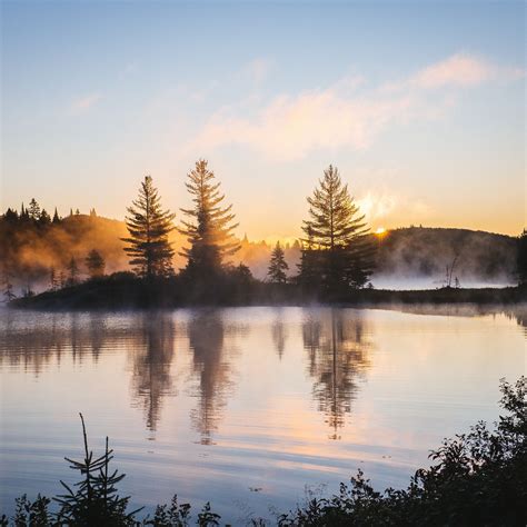 2932x2932 Lake Reflection Morning Mist Trees Nature Hd 4k Ipad Pro