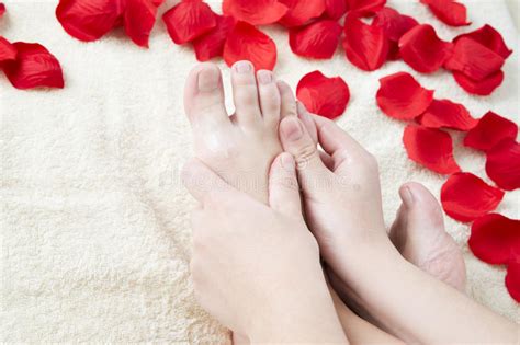 Beautiful Female Feet And Rose Petals Stock Image Image Of Finger