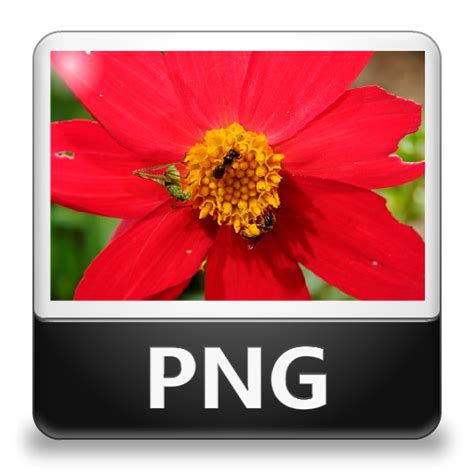 Png File Icon Lozengue Filetype Icons