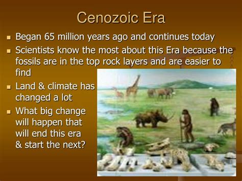 What Major Events Happened During The Cenozoic Era
