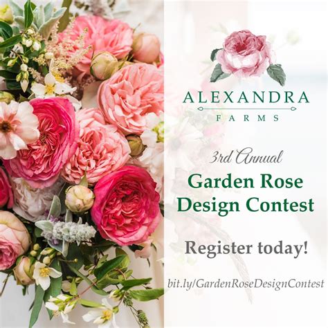 Alexandra Farms Garden Rose Design Contest Florists Review