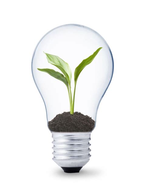 Better Lighting Killer Tips On Saving Energy Bills For Your Office