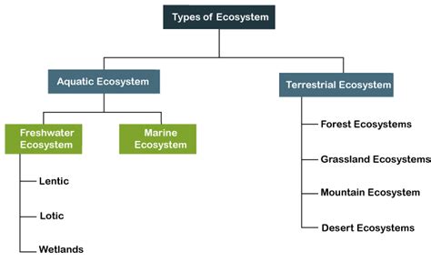 Types Of Ecosystem Javatpoint
