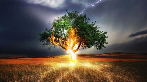 Download 1920x1080 Wallpaper Lightning Flash Tree