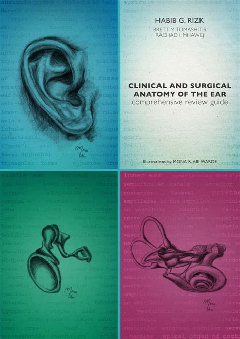 Clinical And Surgical Anatomy Of The Ear Comprehensive Review Guide