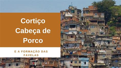 Cortiço Cabeça De Porco