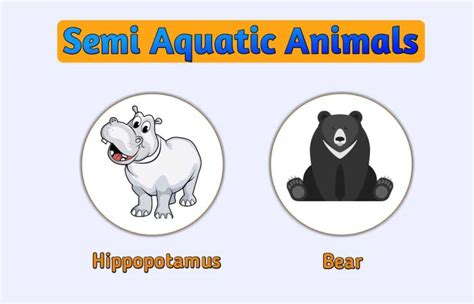 List Of Semi Aquatic Animals Definition With Pictures Animals Space