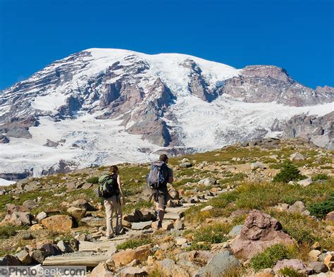 Explore Paradise In Mount Rainier National Park Washington Usa Skyline Trail Is One Of The