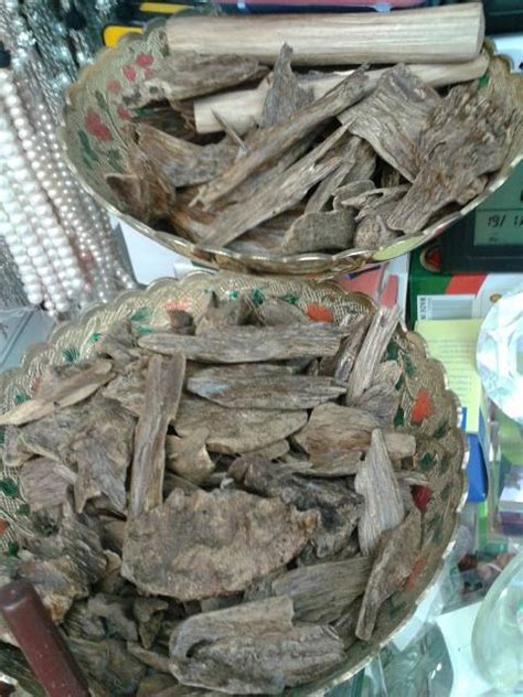 Maybe you would like to learn more about one of these? Harga Kayu Gaharu Di Negeri Arab, Madinah | Rustadinet.com