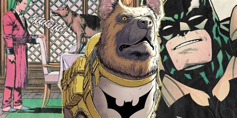 Ace The Bat Hound Proves That Batman Can Be Happy