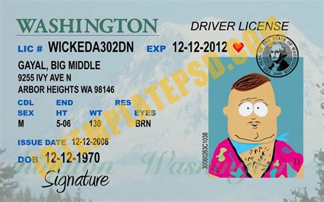 State residents who have never had a washington id card, driver license, instruction permit or enhanced id can begin an application online. This is Washington (USA State) Drivers License PSD (Photoshop) Template. On this PSD Template ...