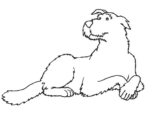 Dog Coloring Page Fluffy Dog Laying Down Coloring Nation