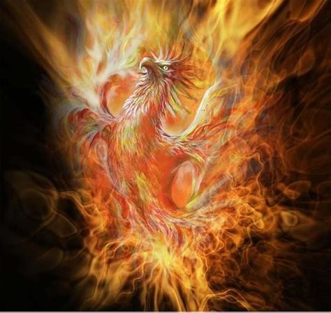 Mythical Phoenix Fire Ash Immortal Bird Greek Mythology Mythology