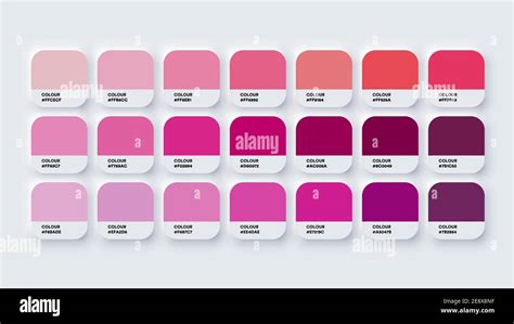 Paleta De Colores Catálogo Muestras Rosa En Rgb Hexadecimal Vector