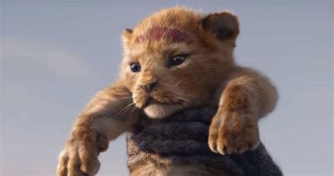 Le Roi Lion Streaming Vf Beaucoup Moins Par Les Critiques Des