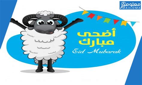 Download عيد أضحى مبارك apk 1.0 for android. صور خروف العيد sheep png رمزيات عيد الاضحى 2021