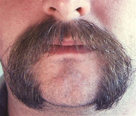Pin By Cmb On Stache Obsession Beard No Mustache Moustache Facial Hair