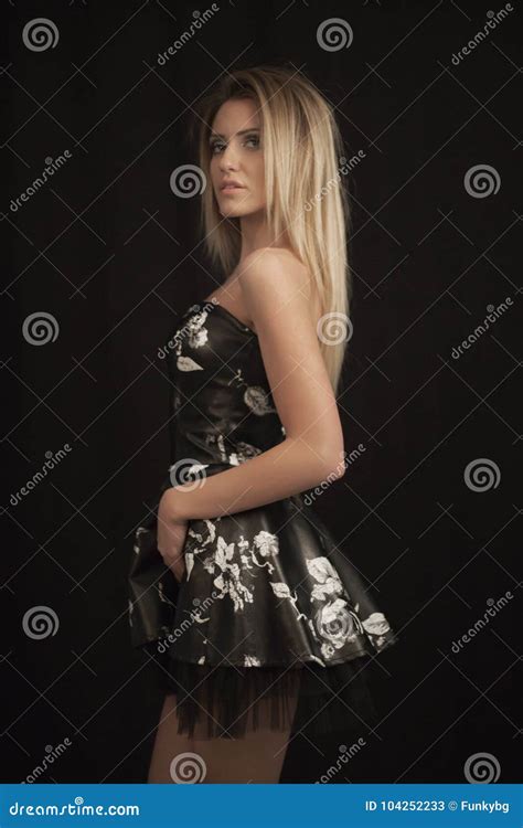 Cute Blonde Woman In Gorgeous Dress Stock Image Image Of Cheerful Bright 104252233