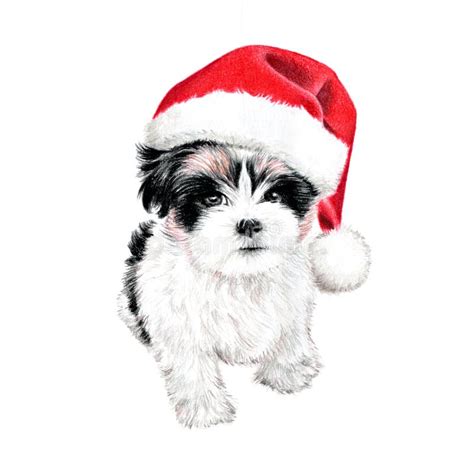 Cute Christmas Puppy Dog With Santa Hat Illustration Hand Drawn