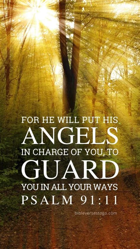 Forest Rays Psalm 9111 Phone Wallpaper Free Bible