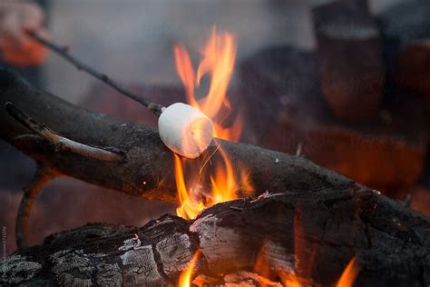 Roasting Marshmallow On A Stick In A Campfire By Stocksy Contributor