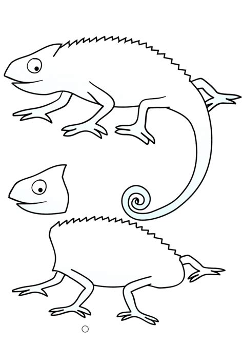 Cameleon coloring pages from chameleon coloring pages to printable. Chameleon Coloring Pages to download and print for free