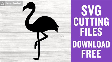 Flamingo Svg Free Cutting Files for Cricut Vector Free Download - YouTube