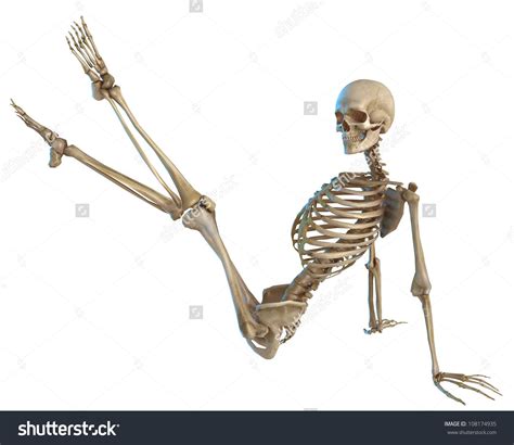 Pin On Skeleton Pose